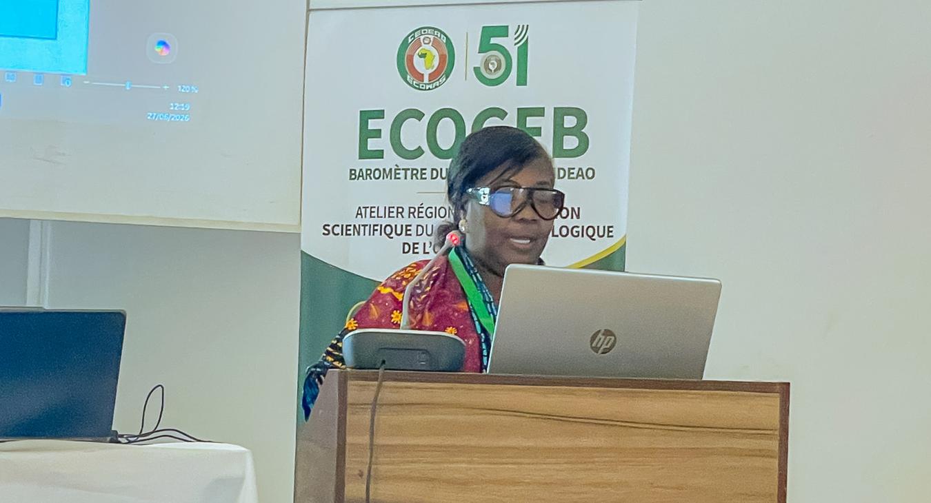 Dr Cynthia Addoquaye Tagoe presents her group's report during the workshop, highlighting key observations on the ECOGEB methodology and its readiness for adoption.